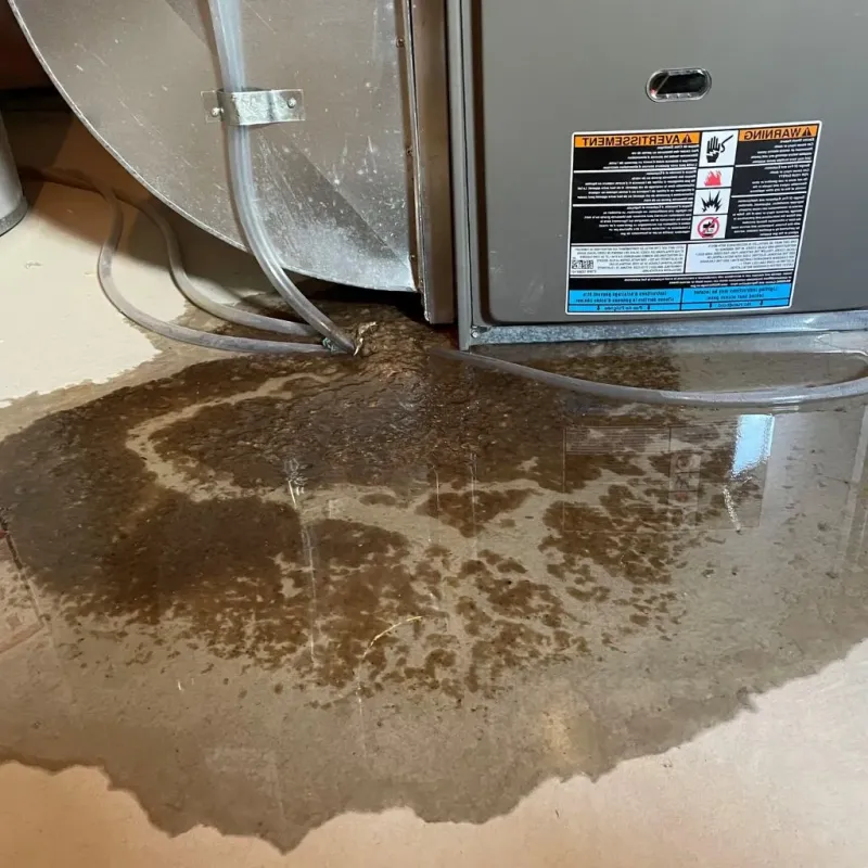 Pipe Burst and Leak Restoration in Hudson, NH